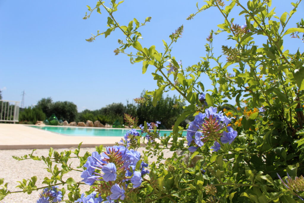 casa vacanze ostuni