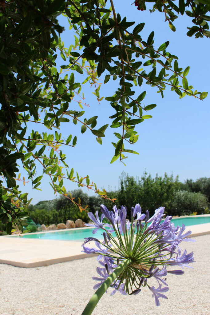 casa vacanze ostuni